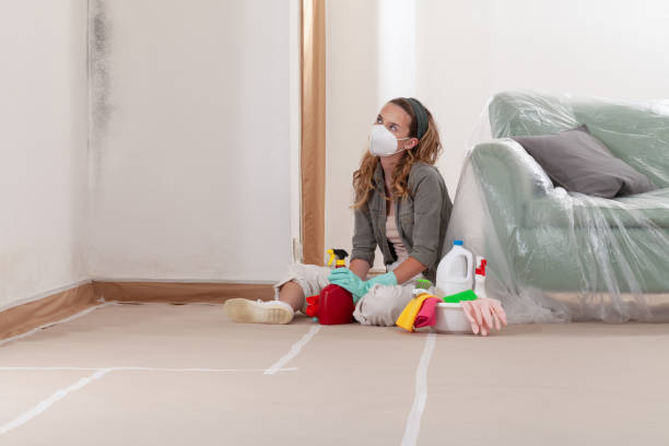 Reliable Mold Testing contractor in Antioch, IL by WQB Mold Removal